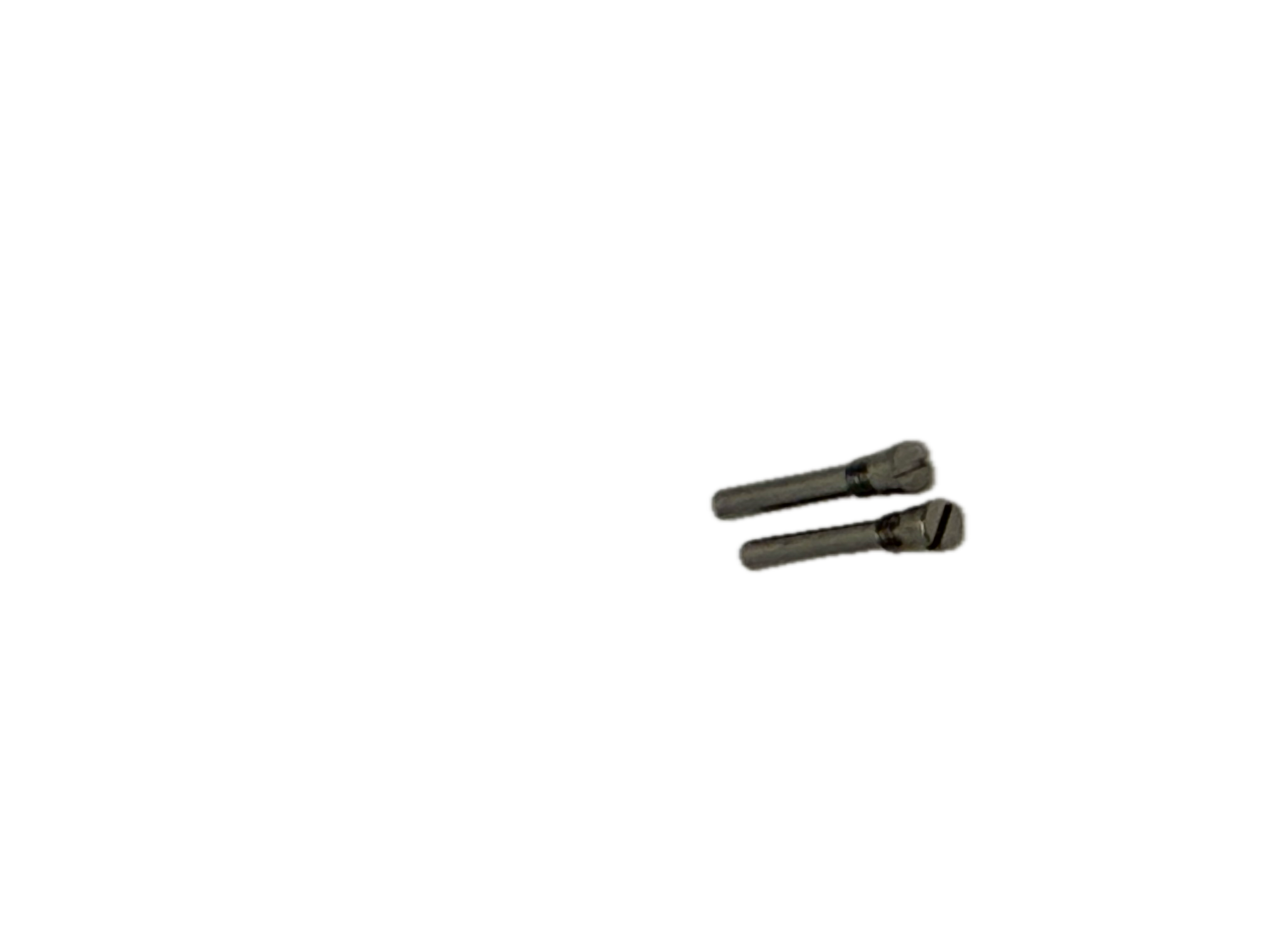 Audemars Piguet Royal Oak Offshore 28mm Watch Case End Link Screws Stainless